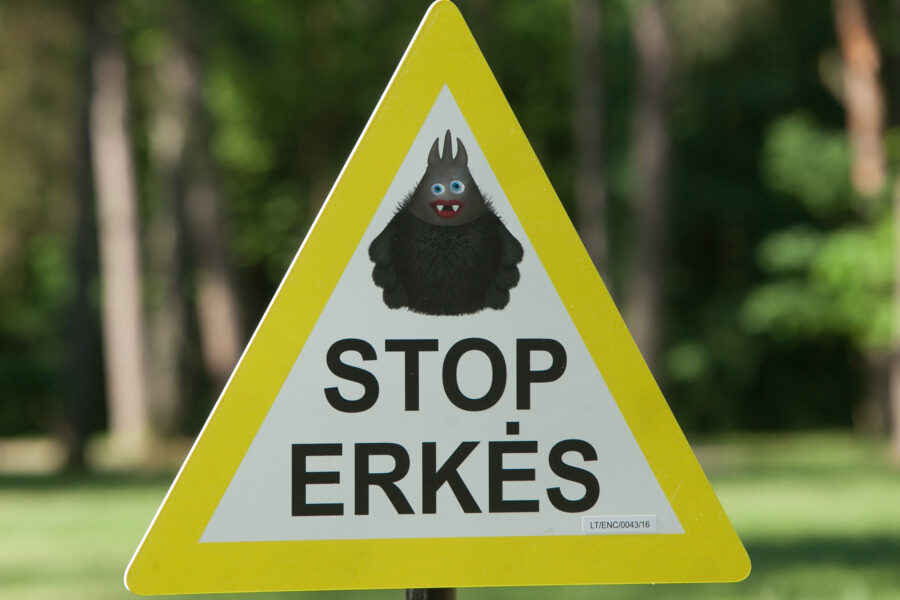 Vilniuje didžiausias erkių pavojus -Vingio parke. Dainiaus Labučio (ELTA) nuotr.