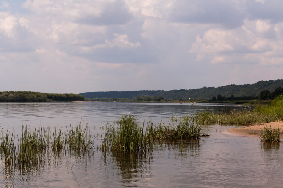 Nemunas. Gedimino Bartuškos (ELTA) nuotr.