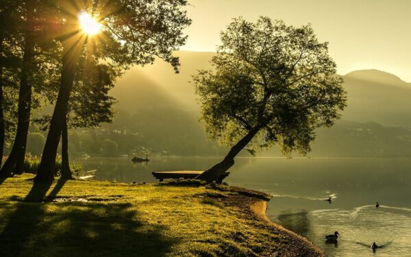 Lietuva ruošiasi netikėtam posūkiui: po vėsos ateina stiprus šilumos pliūpsnis