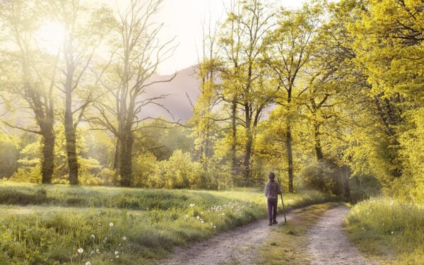 Pamirškite trečią puodelį kavos: paprastas ir nemokamas įprotis, kuris perkraus jūsų smegenis