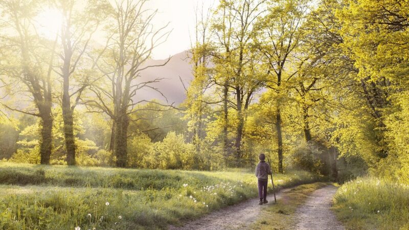 Pamirškite trečią puodelį kavos: paprastas ir nemokamas įprotis, kuris perkraus jūsų smegenis