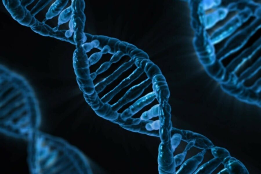 dna, biology, medicine, gene, microbiology, science, genetics, genetic material, laboratory, dna, dna, dna, dna, dna, biology, medicine, gene, science, genetics, laboratory