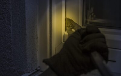 Įžūlus nusikaltimas sostinėje: iš saugomos teritorijos pavogta turto už 155 tūkst.