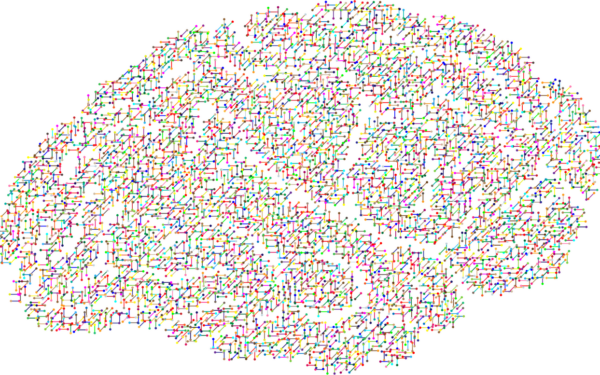 Mokslas aptiko bendrą pėdsaką: štai kaip psichodelikai padės įveikti gilią depresiją