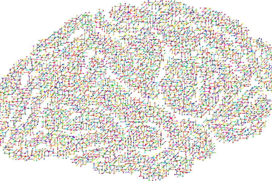 cranium, head, human, male, man, people, persons, profile, gears, cogs, think, psychology, psychiatry, cognition, computer, computation, thought, a, i, ai, anatomy, artificial intelligence, biology, brain, concept, health, idea, nature, mind, science, skull, dna, research, molecules, molecular, colorful, prismatic, chromatic, rainbow, svg