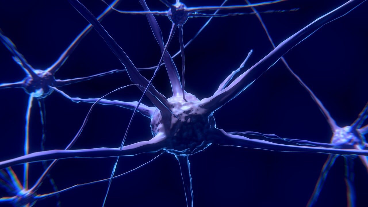 Alzheimerio ligos pėdsakai aptinkami dar jaunystėje: koks ženklas išduoda pavojų?