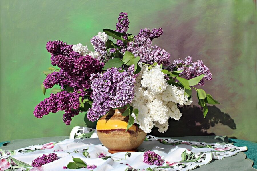 lilac bouquet, lilac flower, still life, nature, ornamental shrub, purple, bloom, lilac, flower wallpaper, flower background, flora, plant, fragrant, decorative, lilac blossom, flower, blossoms, spring, violet, bunch of flowers, bright, garden, beautiful flowers, lilac branch, ornamental plant, fragrant plant, garden plant, tablecloth, mixed bouquet, deco
