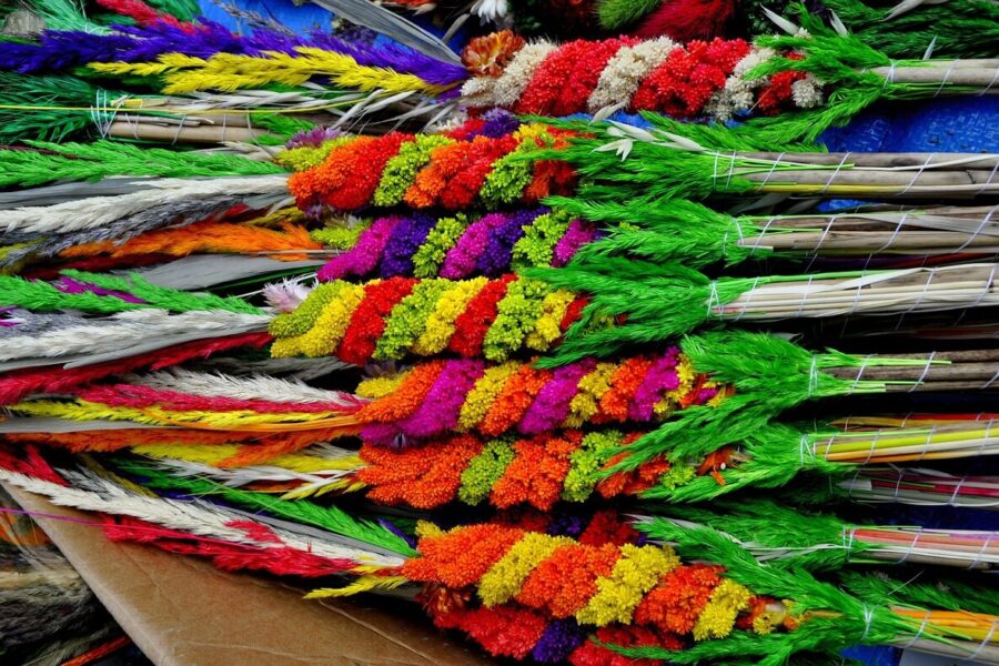 Verbos. Pexels nuotr.