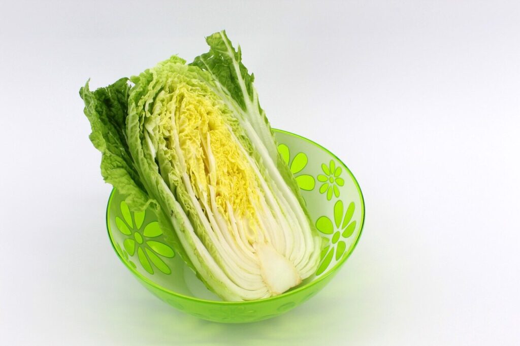 beijing cabbage, windows wallpaper, hd wallpaper, full hd wallpaper, free wallpaper, chinese cabbage, food, laptop wallpaper, product, white, 4k wallpaper 1920x1080, background, green, beautiful wallpaper, free background, yellow, deep, flower bowl, vegetable, desktop backgrounds, diet, cabbage salad, wallpaper hd, 4k wallpaper, mac wallpaper, salad greens, wallpaper 4k, cool backgrounds, proper nutrition