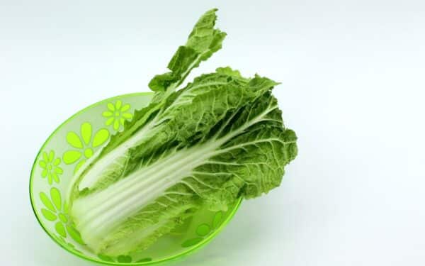 Juodi taškeliai ant pekininio kopūsto lapų? Sužinokite, ar tokia daržovė nėra nuodinga