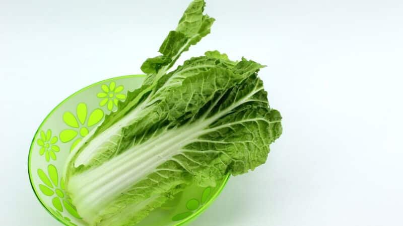 Juodi taškeliai ant pekininio kopūsto lapų? Sužinokite, ar tokia daržovė nėra nuodinga