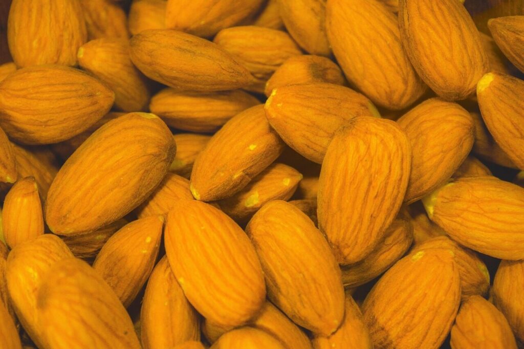 almonds, sunbaked, natural, organic, snack, vegetarian, food, vegan, nuts, healthy, superfood, protein, seeds, calcium, magnesium, roasted, flavor, orange food, orange healthy, orange natural, calcium, magnesium, magnesium, magnesium, magnesium, magnesium