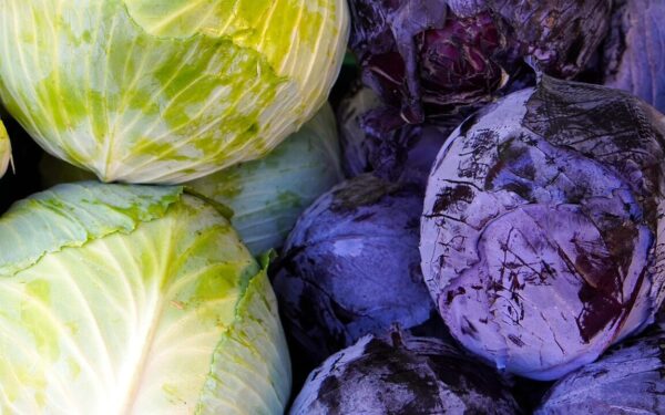 Žalias ar raudonas? Paaiškėjo, kuri kopūsto rūšis yra tikrasis išsigelbėjimas žarnynui