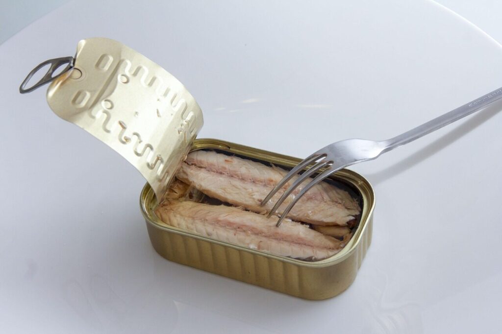 can, mackerel, food, supermarket, fish, poor, nature, poverty, hunger