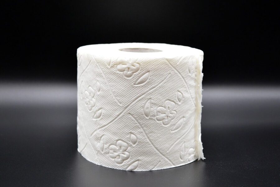 toilet paper, hygiene, loo, role, wc, toilet, paper, corona, virus, sanitary, lockdown, toilet paper, toilet paper, toilet paper, toilet paper, toilet paper