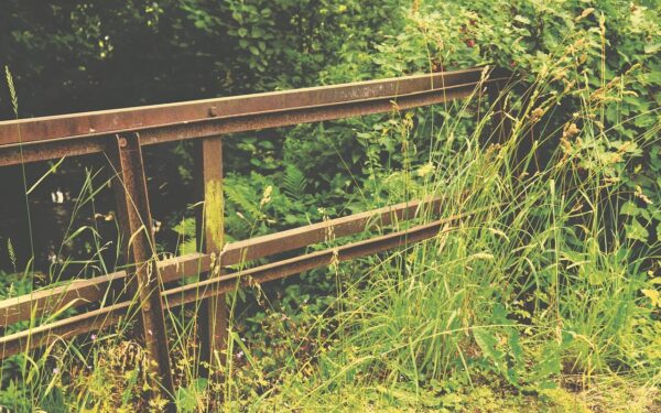 Atsibodo piktžolės palei tvorą? Štai pigus būdas, kuris padės pamiršti varginantį ravėjimą