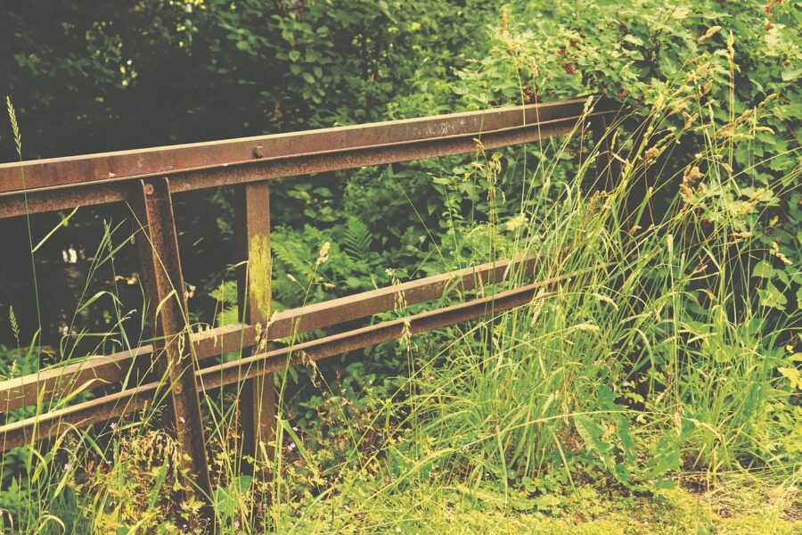 fence, rusty, grass, weeds, garden, overgrown, nature