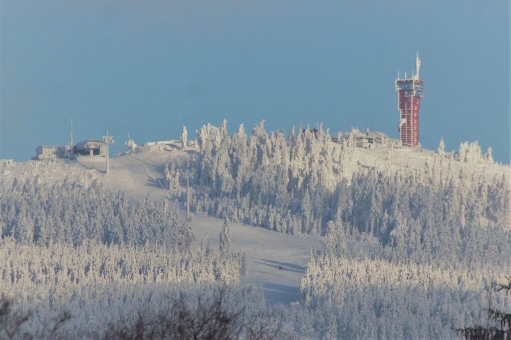 mountain, nature, trees, forest, snow, lower saxony, germany, braunlage, landscape