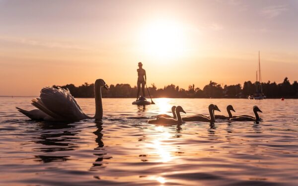 Gyventojai netrukus pamatys pokyčius: dalis ežero pakrantės bus atverta anksčiau