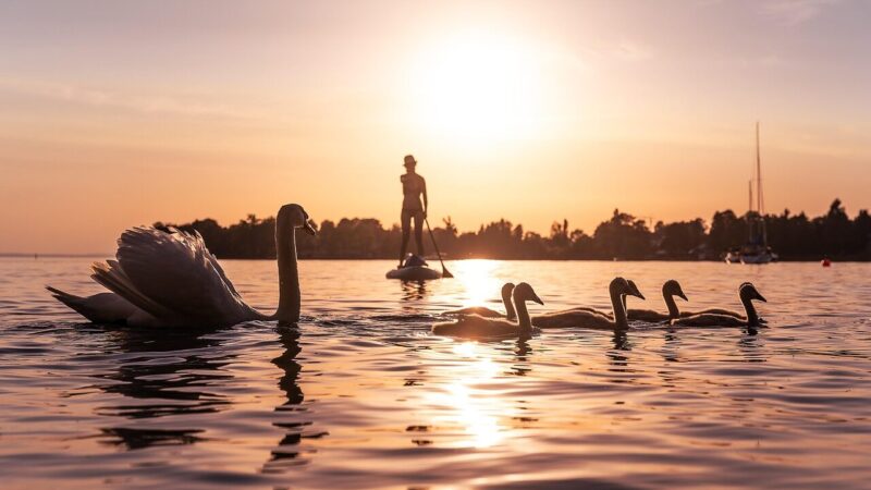 Gyventojai netrukus pamatys pokyčius: dalis ežero pakrantės bus atverta anksčiau