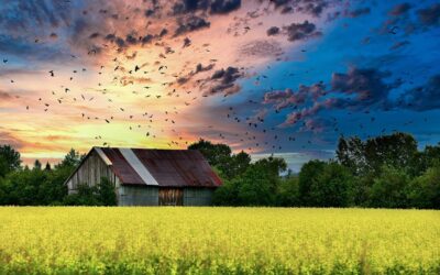 Kur gyventi apsimoka labiausiai? Vienas sprendimas gali sutaupyti tūkstančius