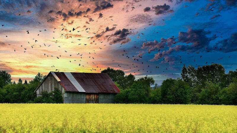 Kur gyventi apsimoka labiausiai? Vienas sprendimas gali sutaupyti tūkstančius