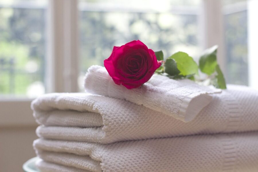towel, rose, clean, rose flower, care, salon, spa, white, bath, relax, hospitality, hotel