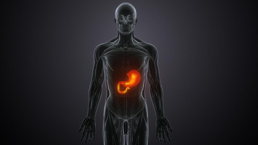 liver, treatment, doctor, hepatitis, metabolism, hepatology, inflammation, toxin, function, hepatic, cholecystitis, gastroenterologist, hepatologist, model, anatomical, human, man, patient, medical, clinic, test, cirrhosis, consultation, cancer, care, liver, liver, liver, hepatitis, hepatitis, metabolism, metabolism, metabolism, metabolism, metabolism, hepatology, gastroenterologist, cirrhosis