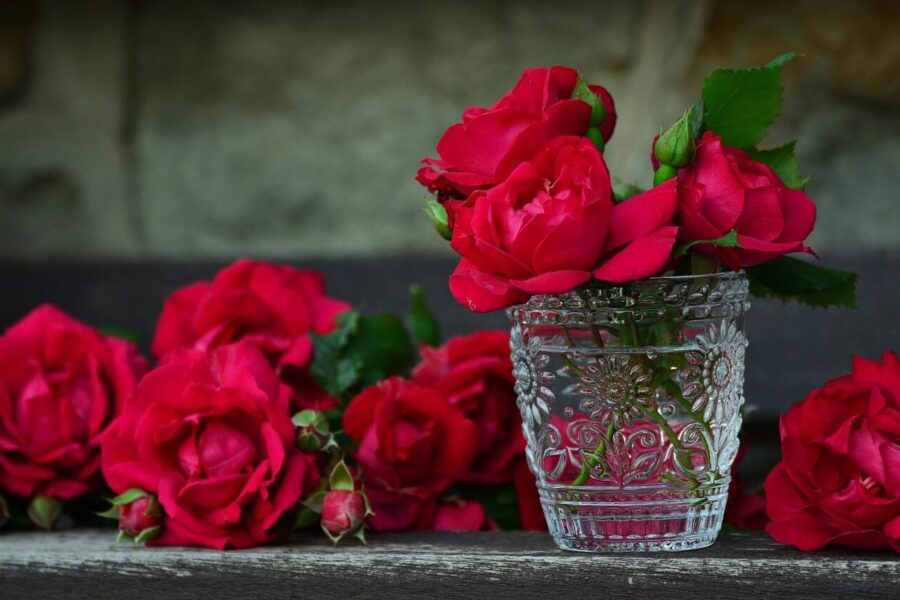 roses, red roses, vase, flower vase, floral, flowers, red flowers, petals, beautiful flowers, red petals, rose petals, bloom, blossom, bunch, bunch of flowers, rose bouquet, flower wallpaper, flower background, bouquet of roses, glass container, nature, rose bloom