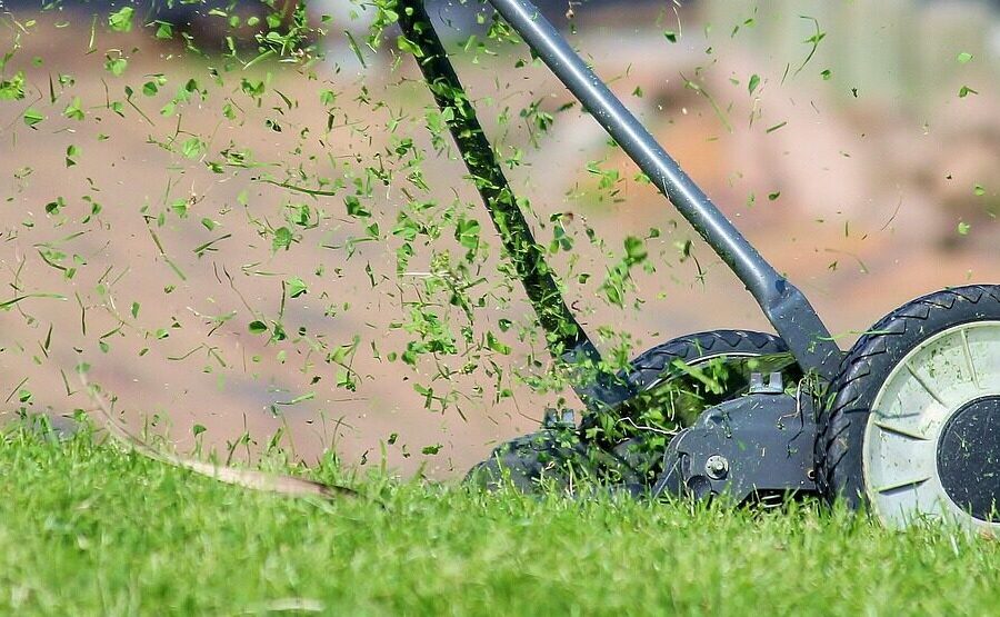 lawn mower, grass, cutting, cutting grass, lawn, hand lawn mower, lawn mowing, mow, meadow, manual operation, green, nature, blades of grass, grass blades, lawn mower, lawn mower, lawn mower, lawn, lawn, lawn, lawn, lawn, lawn mowing
