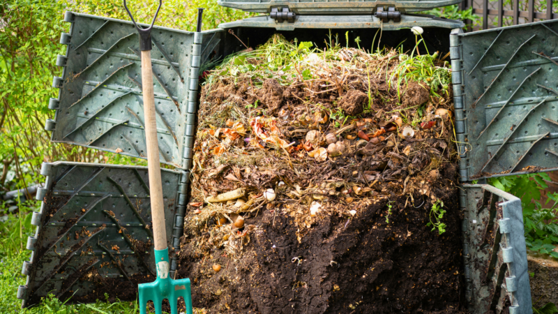 Panevėžyje pradėta komposterių registracija, tai gali lemti ir mokestį už atliekas