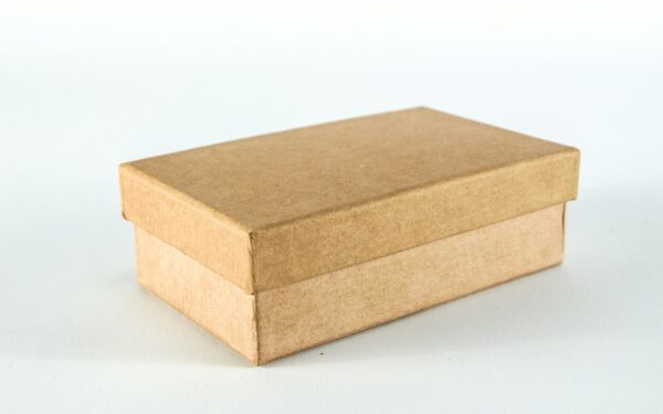 Jūsų stalčius skęsta chaose? Paprasta batų dėžė padės sutvarkyti namus per minutes