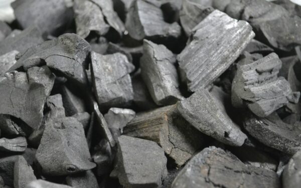 Neskubėkite valyti kepsninės: štai kodėl anglys po barbekiu yra vertingesnės už pirktines trąšas