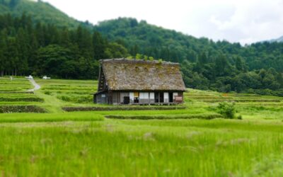 Pavojus, apie kurį pamiršta daugelis: grįžus į sodybą vanduo gali būti užkrėstas