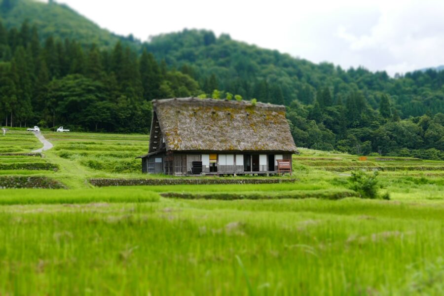 Sodyba. Unsplash nuotr.
