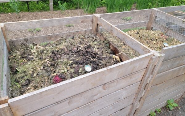 Kompostas subręs dvigubai greičiau: viena pigi priemonė akimirksniu suaktyvins bakterijas