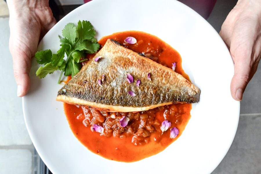 person serving salmon dish