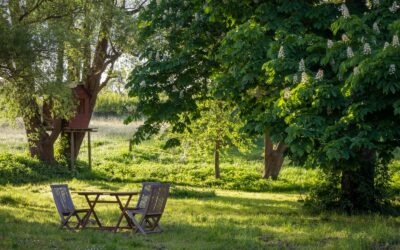 Darbus darže geriau atidėti: paaiškėjo penkios pavojingos balandžio dienos, kai niekas neaugs