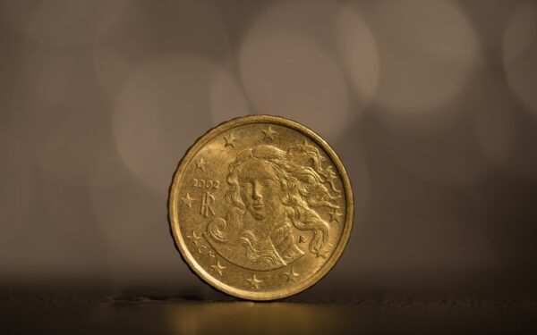 Atsakymas jus nustebins: kodėl patyrę keliautojai visada palieka monetą šaldiklyje?