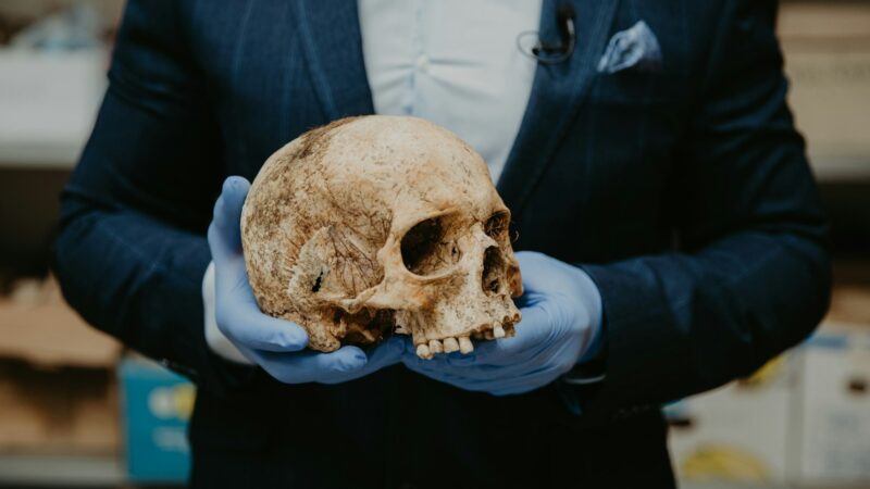 Mįslingi laidojimai Prancūzijoje suglumino archeologus: ar gali būti, kad prieš 2300 metų žmonės čia buvo laidojami gyvi?