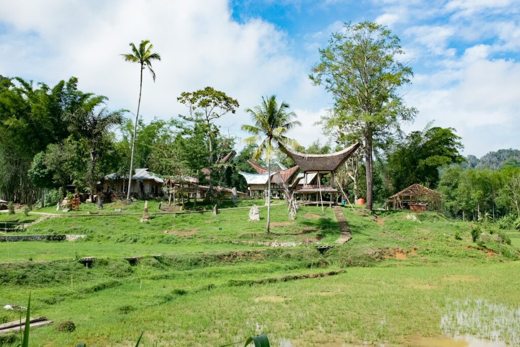 brown wooden house surrounded by green grass field during daytime