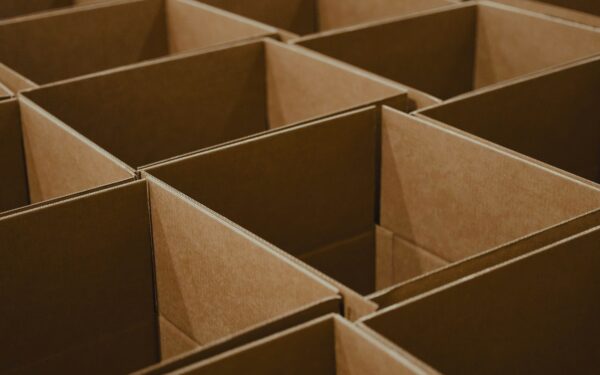 Neskubėkite išmesti senų dėžių: paprastas kartonas darže virs auksiniu mulčiu