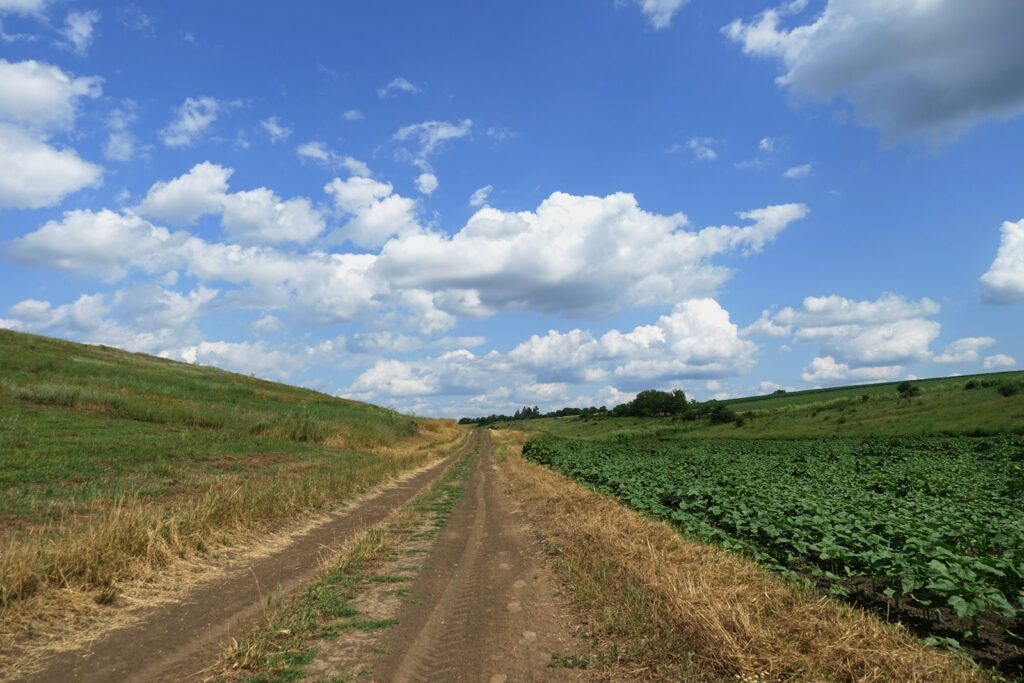Dirt road leads through green fields under sky.