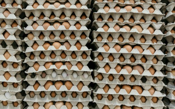 Neišmeskite kiaušinių dėžučių: paprastas triukas pakeis jūsų daržą visiems laikams