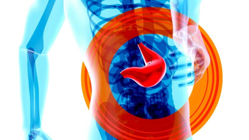 Ar įmanoma atstatyti suriebėjusias kepenis? Atskleistas vienintelis veiksmingas būdas