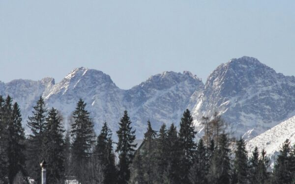 300 km/val. greitis ir tūkstančiai sunaikintų miškų: negailestingoji gamtos galia Tatruose