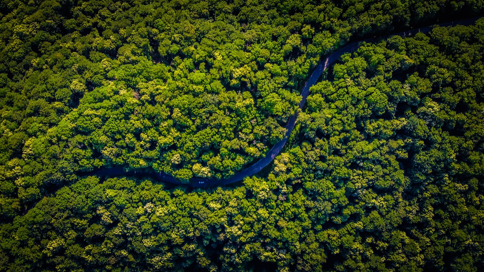 Planetos plaučiai nebesaugo mūsų nuo taršos: mokslas atskleidė šiurpią tiesą apie Amazonę
