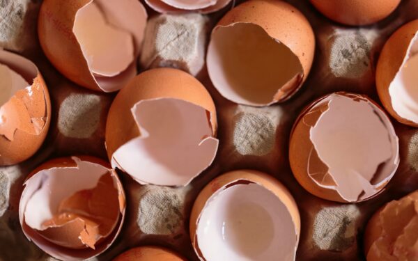 Neskubėkite išmesti kiaušinių lukštų: viena gudrybė padės apsaugoti daržą nuo kenkėjų