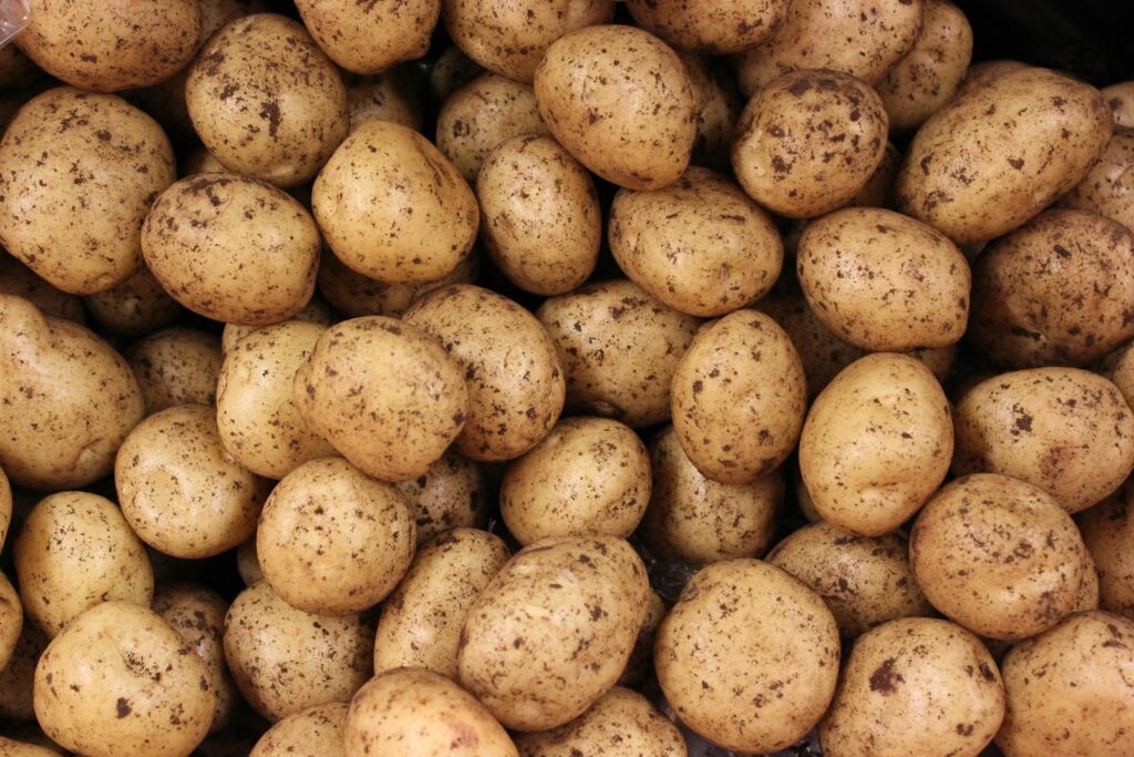 a pile of potatoes sitting next to each other