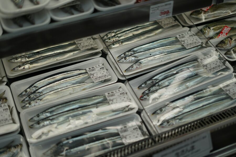 A display case filled with lots of different types of fish